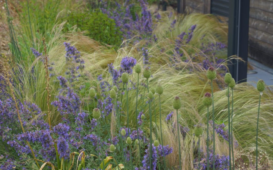 Un jardin écologique pour une maison BBC à Fondettes